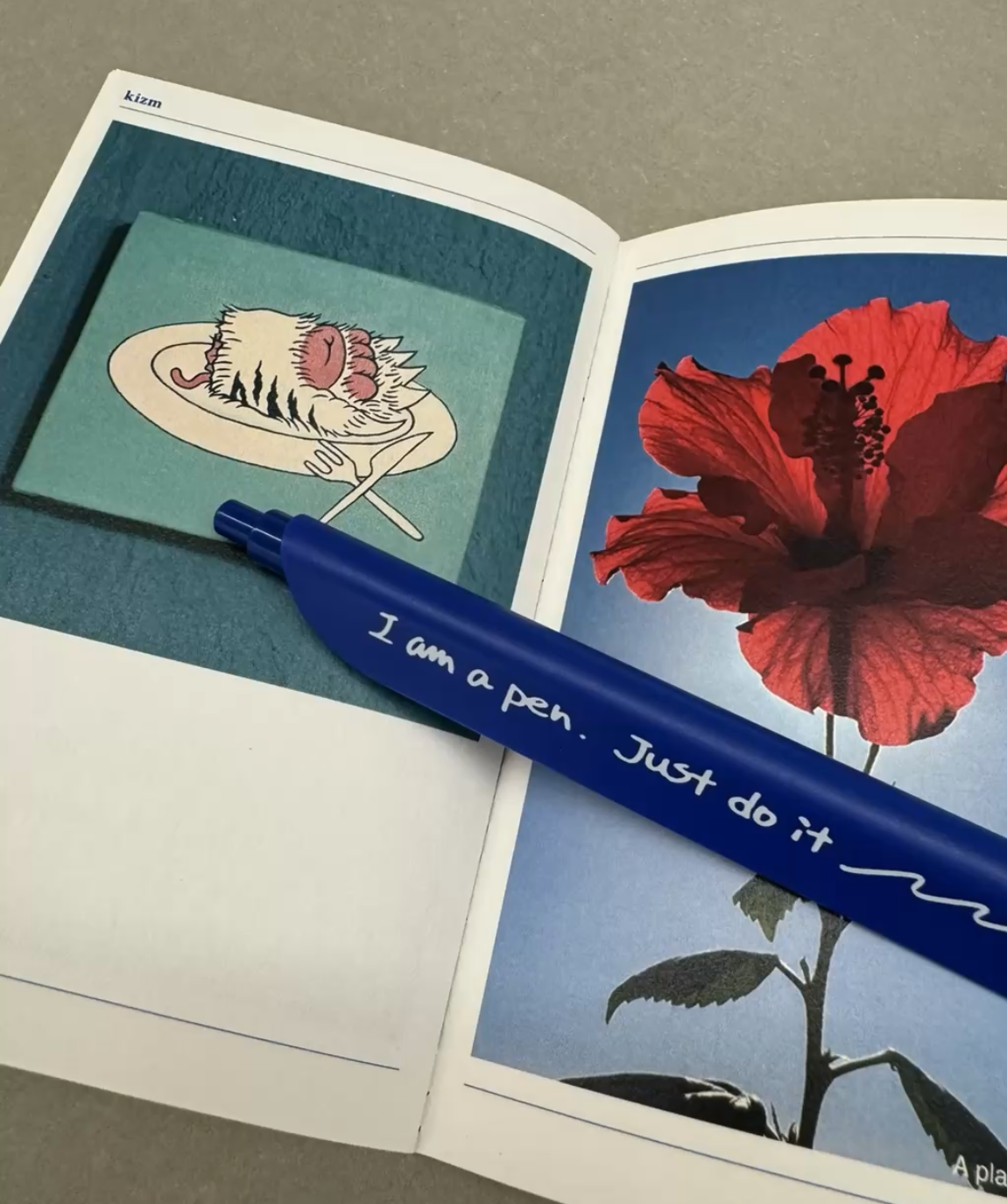 Blue Break Book and Pen | kizm channel