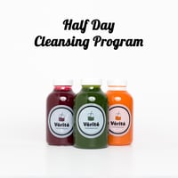 【バイタライズコース】HALFデイプログラム - クレンジングプログラム（午後から３本）