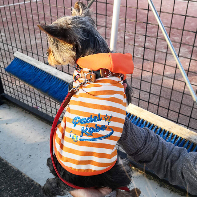 A4印刷済み】犬のフード付きタンクトップ型紙 | IZUTSUYA shop