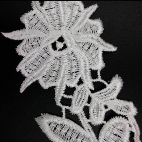 ボタニカル刺繍の襟レース