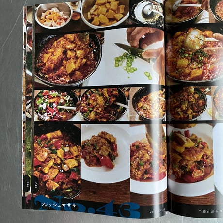 フセインのインド料理プログラム 54レシピ