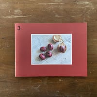 写真集 CURRYJOURNEY ３ インドネシア編 『THE SEED VANISHED』