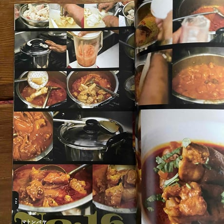 フセインのインド料理プログラム 55レシピ