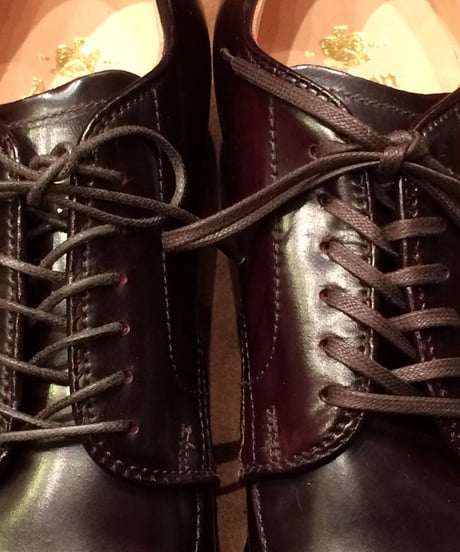 For ALDEN shoes and others / オールデン 靴紐 6穴用におすすめです / 丸紐＆平紐 / Vチップ / モディファイドラストに