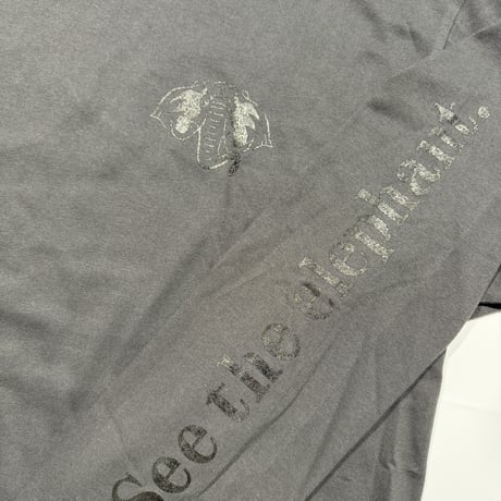 Reiginal S.T.E. Long Sleeve T-Shirts