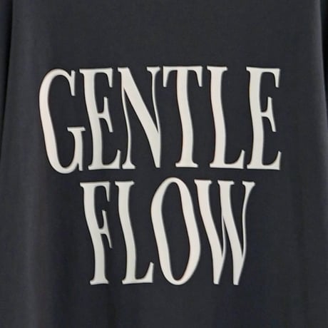 【CHIGNON】[8461-103KK] ”FLOW”ｳｪｲﾌﾞﾛｺﾞTee