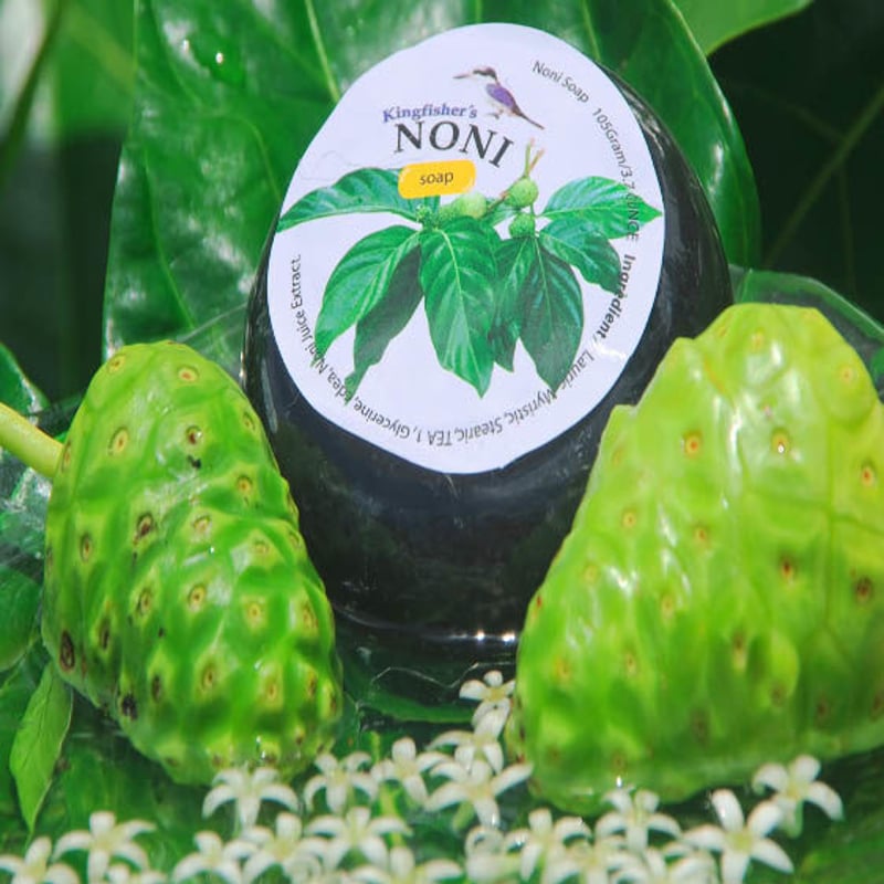 ノニ石鹸5個 サイパン産ノニ石鹸10個セット送料無料 | bula-saipan