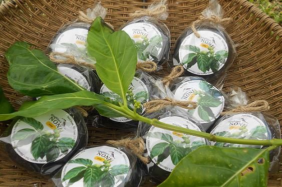 ノニ石鹸5個 ノニ石鹸｜ ノニ石鹸5個