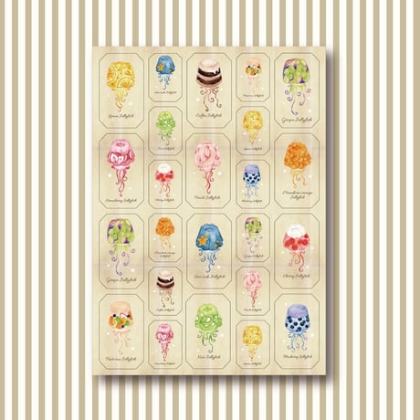 Jellyfish図鑑☆シール