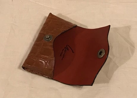 Card case 'Envelope type