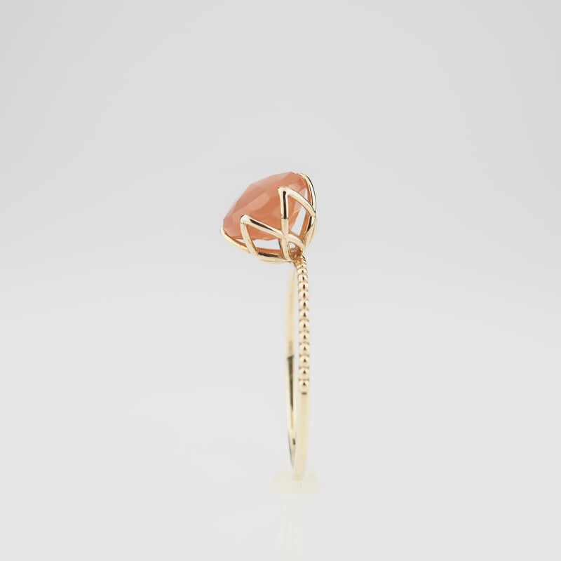 ヒントニー・菊水3株 ヒントニー・菊水3株