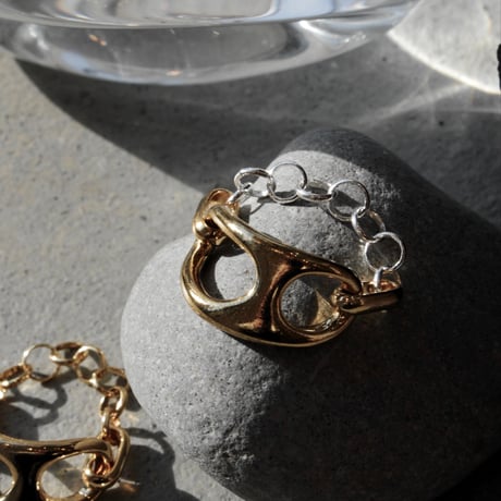 Fibula chain ring