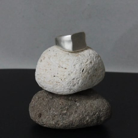 norme ID Ring ① (Matt) / SV925