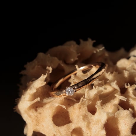 norme diamond ring / SV925＋Gold Plated