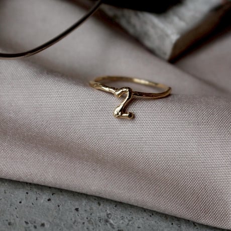 norme numbering ring / SV925＋Gold Plated