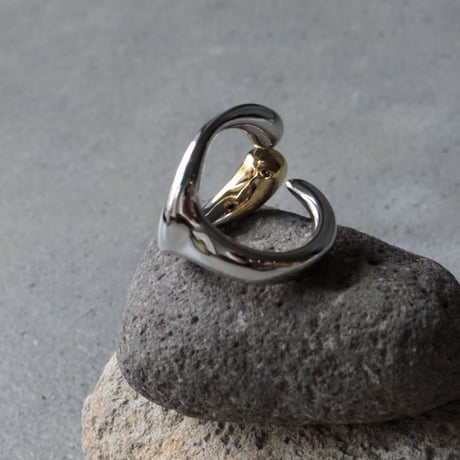 Clarity frame ring (mix color)