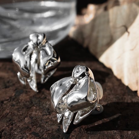 Ribbon earing