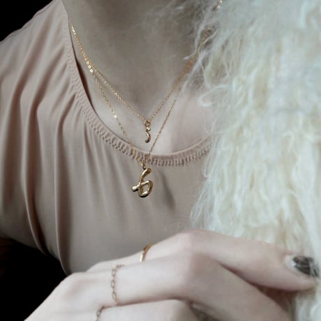 norme numbering necklace / SV925＋Gold Plated