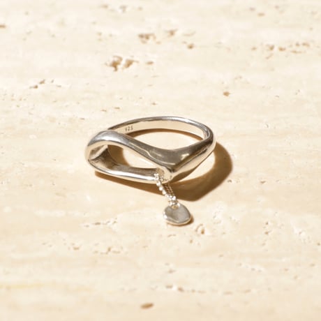 norme tag flat ring / SV925