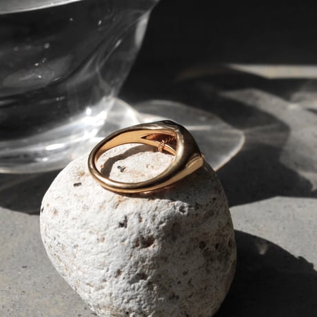 norme tag flat ring / SV925＋Gold Plated