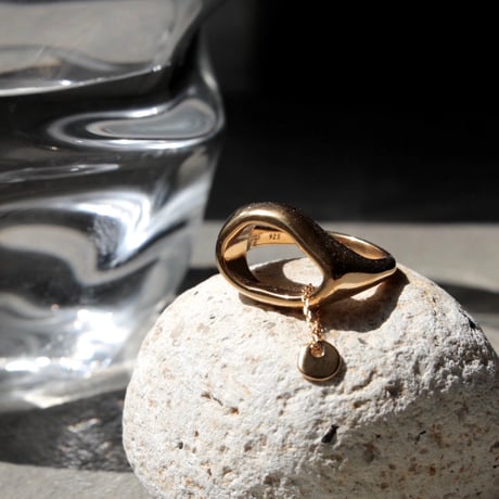 norme tag ring / SV925＋Gold Plated