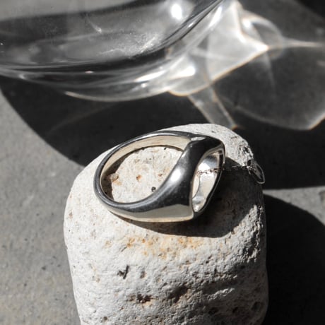 norme tag ring / SV925