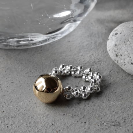 Pome chain ring