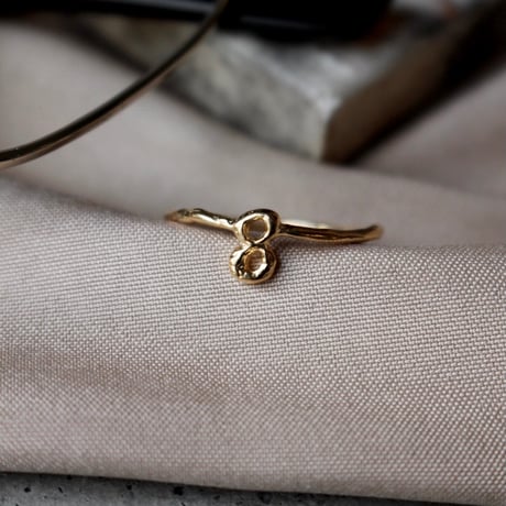 norme numbering ring / SV925＋Gold Plated