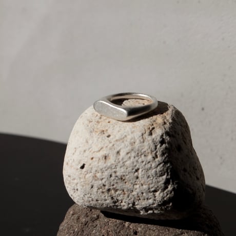 norme ID Ring ④ (Matt) / SV925
