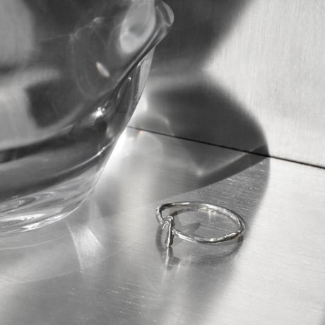 norme numbering ring / SV925