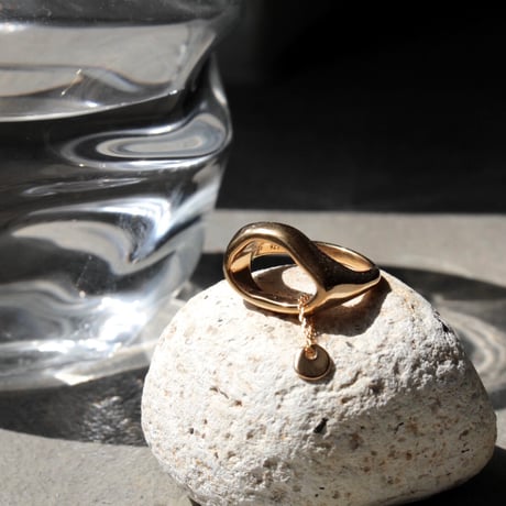 norme tag ring / SV925＋Gold Plated