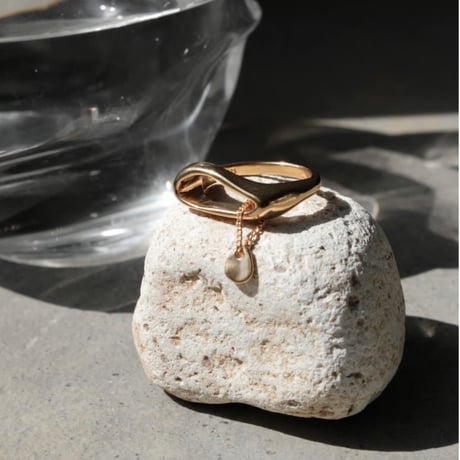 norme tag flat ring / SV925＋Gold Plated