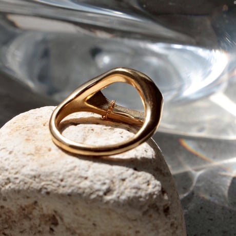 norme tag ring / SV925＋Gold Plated