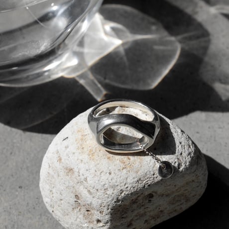 norme tag ring / SV925