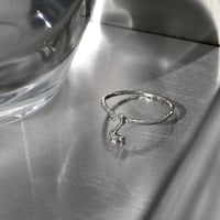norme numbering ring / SV925