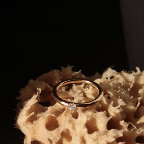 norme diamond ring / SV925＋Gold Plated