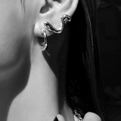 Ornaments earring