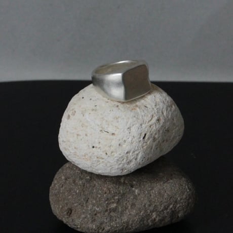 norme ID Ring ① (Matt) / SV925