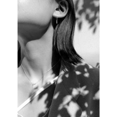 norme pierce (Long chain) / SV925