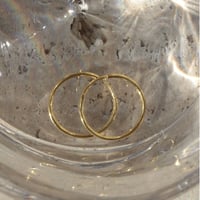 norme halo hoop pierce (Medium/2P) / SV925＋Gold Plated