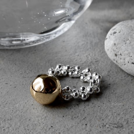 Pome chain ring