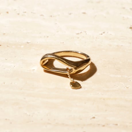 norme tag flat ring / SV925＋Gold Plated