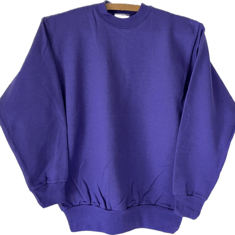 単品【DEAD STOCK】Hanes社製 無地 CREW NECK SWEAT SHIRTS USユースL(14-16)サイズ  全4色展開 /  ヘインズ社 2000年前後製 裏起毛 フラッグロゴ