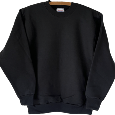 単品【DEAD STOCK】Hanes社製 無地 CREW NECK SWEAT SHIRTS USユースL(14-16)サイズ  全4色展開 /  ヘインズ社 2000年前後製 裏起毛 フラッグロゴ