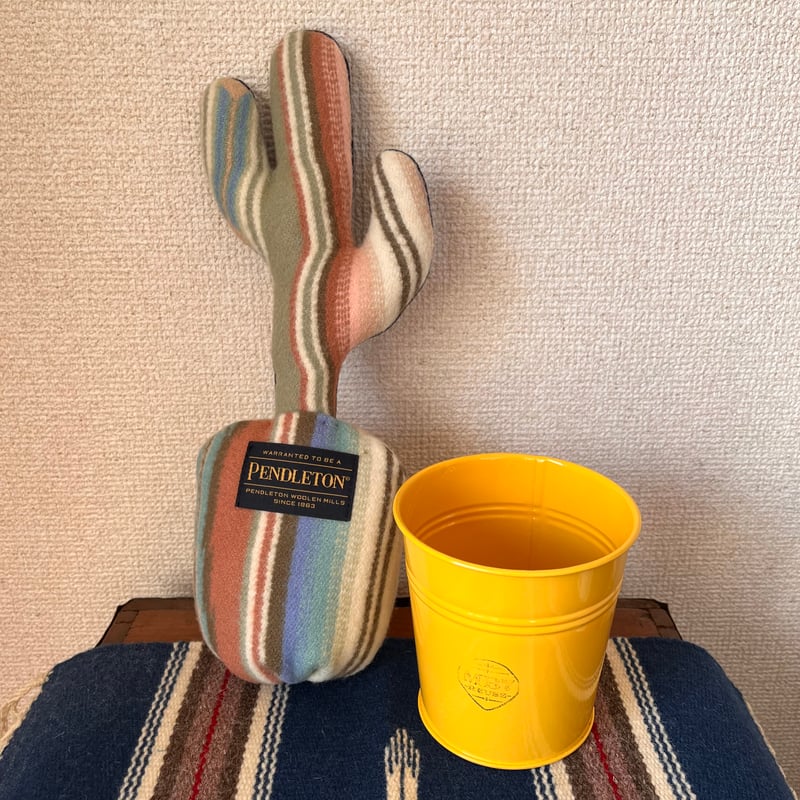 PENDLETON×MB7r LITTLE CACTUS 