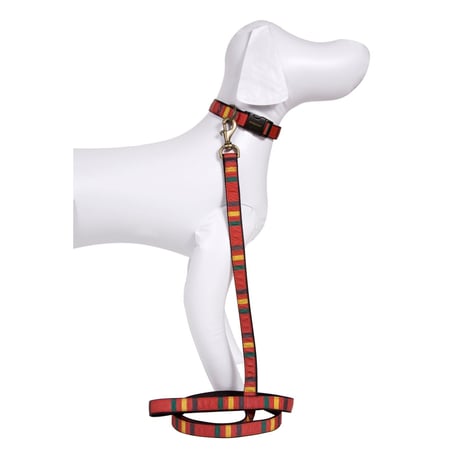 【展示品】 PENDLETON®  PET COLLECTION HIKER LEASH - RANIER　アメリカ製 リード レイニア柄