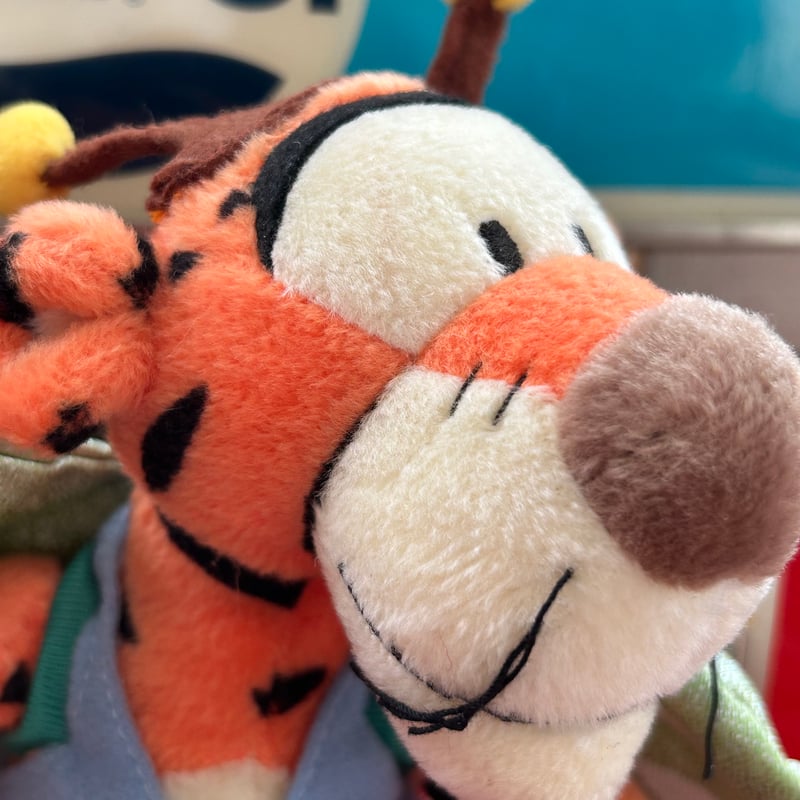 2000s SEGA Walt Disney “BUTTERFLY TIGGER” PLUSH