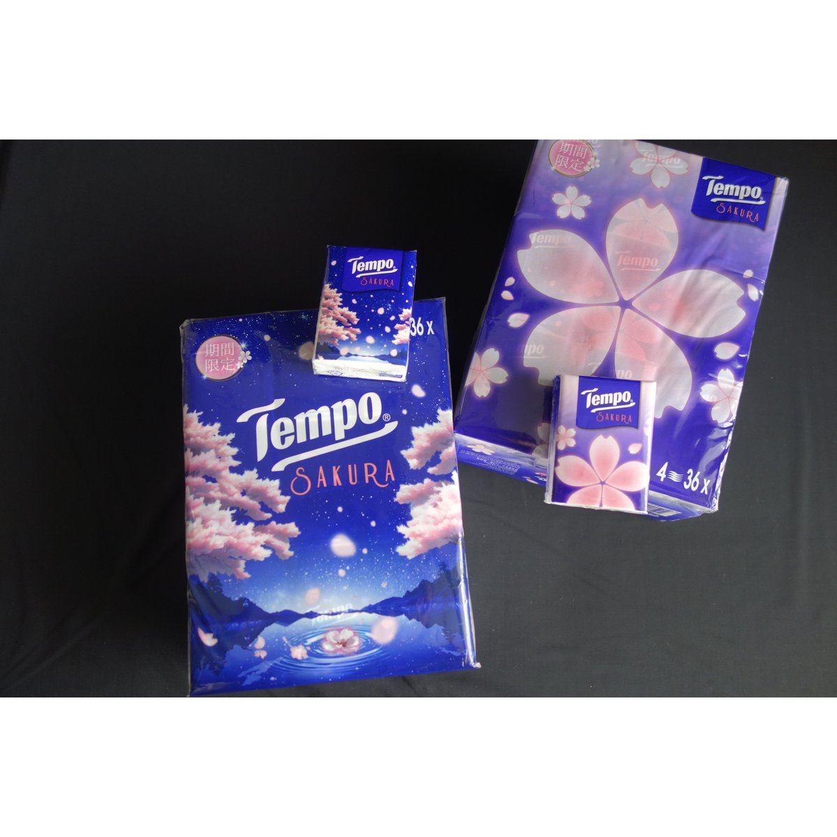 香港☆Tempo】2025「櫻花・季節限定」＜36P＞ / 使い捨てハンカチ