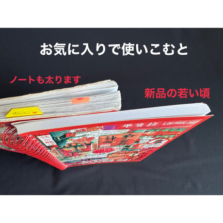 【香港☆Lorette E. Roberts】My Hong Kongノート / Paint The Town Red！・NOTEPAD BOOK  #5123021R