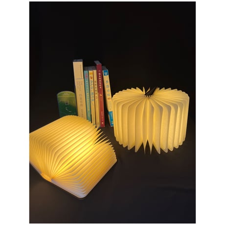 ＜予約商品＞「リクエストアイテム・再販」【香港☆cityUpress】柔らかい灯りの木紋書燈   /  Wooden Book Lamp #307296RR